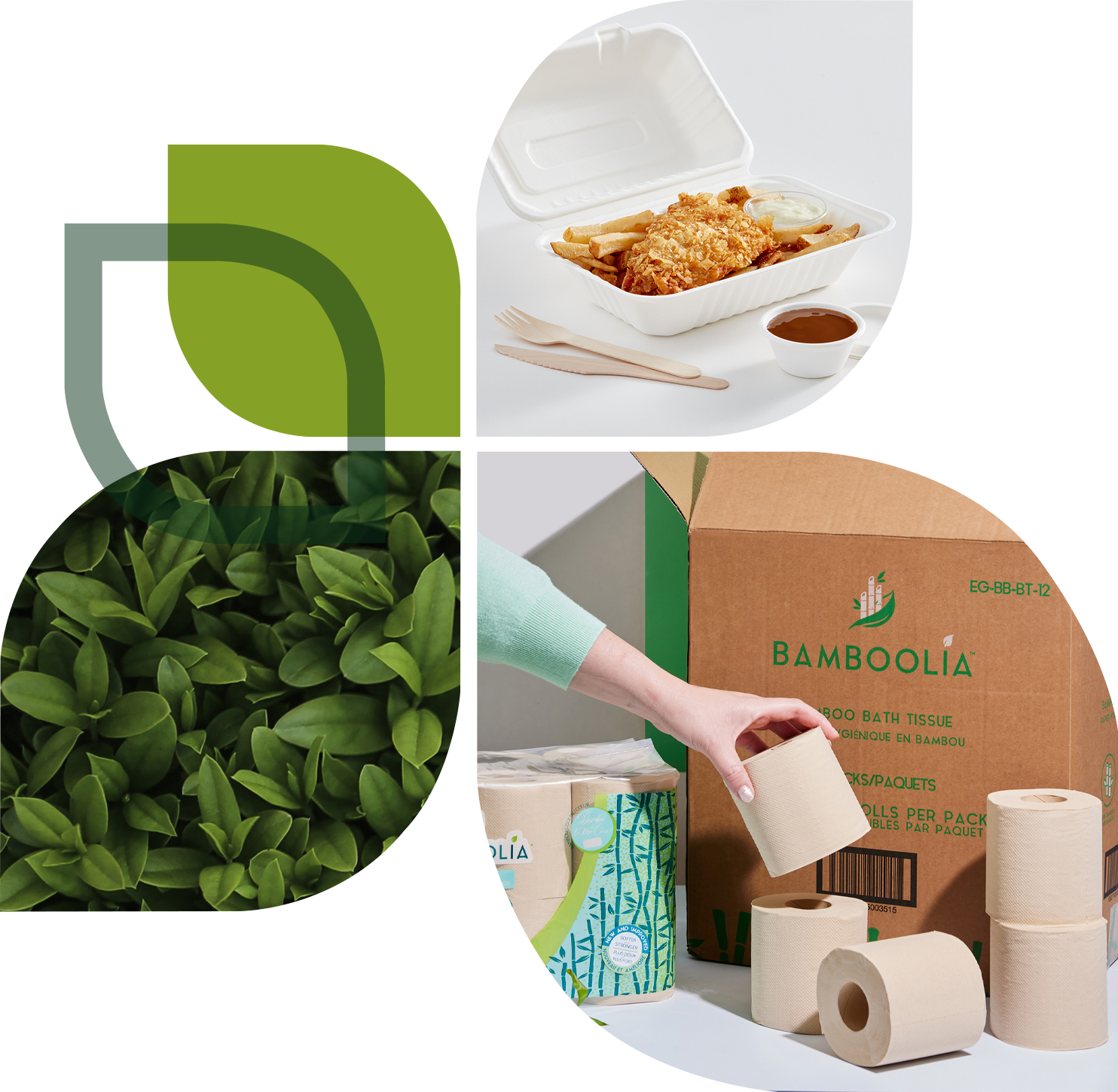 Collage showing the EcoGuardian leaf logo, green foliage, a compostable fish-and-chips container with wooden cutlery, and a hand placing a roll of Bamboolia bamboo bath tissue in front of its packaging box.