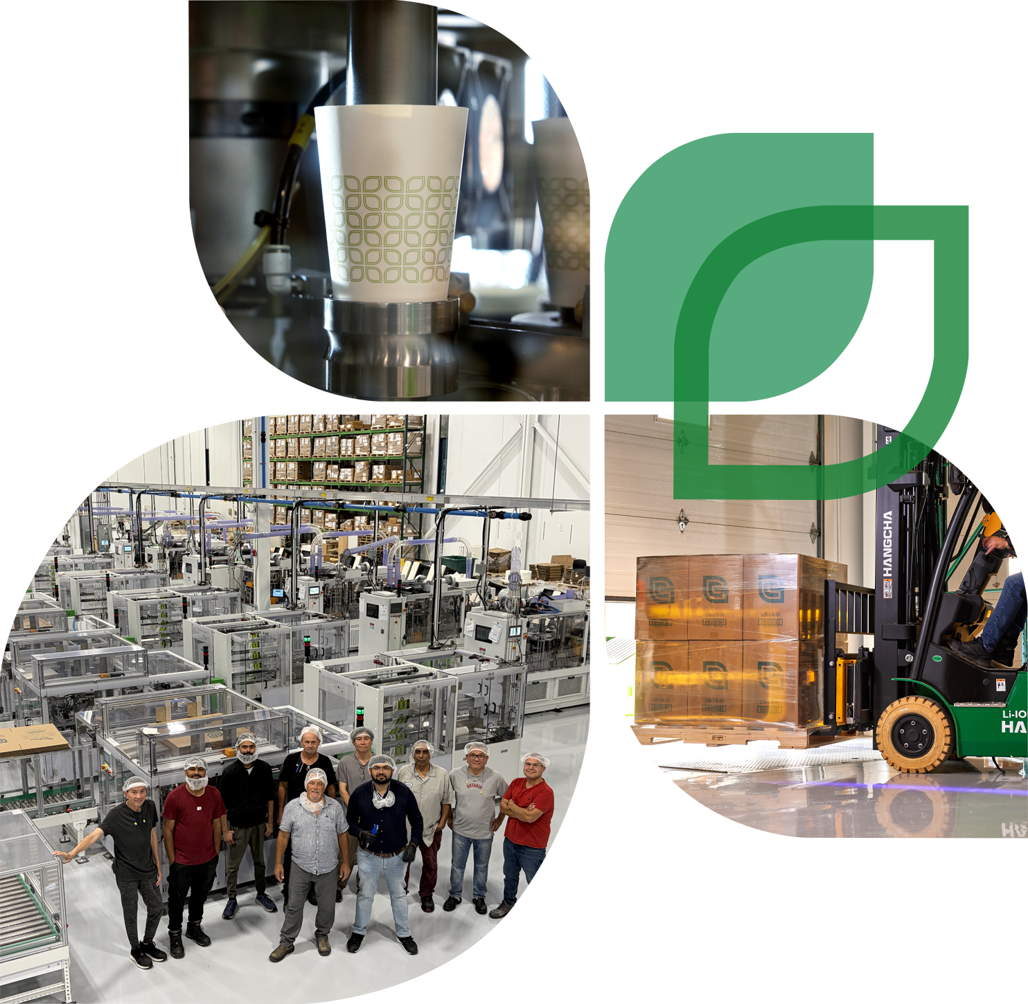 Collage showing a paper cup being formed on manufacturing equipment, the EcoGuardian leaf logo, a group of factory employees wearing hairnets posing on the production floor, and a forklift moving a wrapped pallet of boxed product in the warehouse.